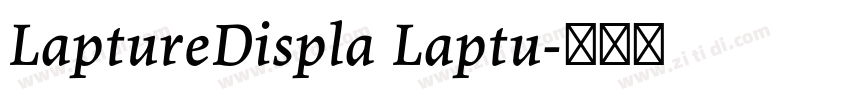 LaptureDispla Laptu字体转换